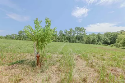 1400 Jacks Branch Rd, Cantonment, FL 32533 - Photo 16