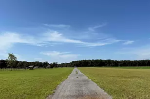 2765 Hwy 182, Jay, FL 32565 - Photo 4