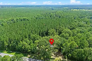 5845 Hwy 4, Jay, FL 32565 - Photo 50