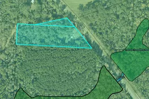 5845 Hwy 4, Jay, FL 32565 - Photo 54