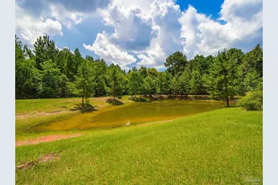 2647 Molino Rd, Molino, FL 32577 - Photo 42