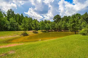 2647 Molino Rd, Molino, FL 32577 - Photo 42