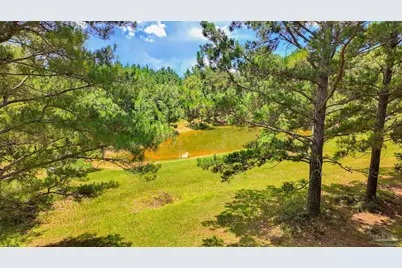 2647 Molino Rd, Molino, FL 32577 - Photo 2