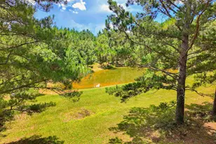 2647 Molino Rd, Molino, FL 32577 - Photo 2