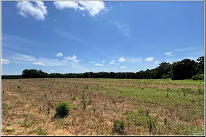 9150 Three Hollow Rd, Jay, FL 32565 - Photo 10