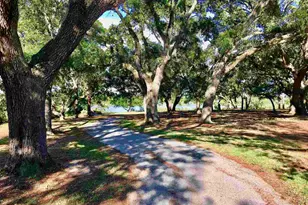 211 W Sunset Ave, Pensacola, FL 32507 - Photo 42