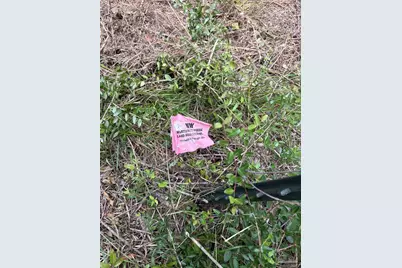 2800 Blk Velor Rd, McDavid, FL 32568 - Photo 4
