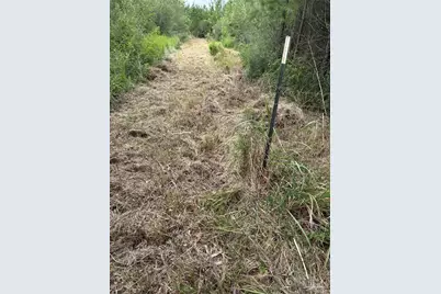 2800 Blk Velor Rd, McDavid, FL 32568 - Photo 6