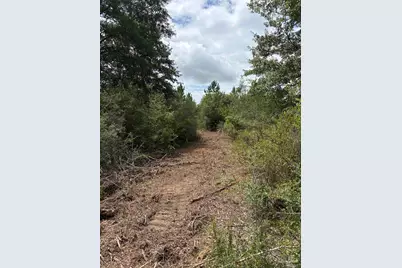 2800 Blk Velor Rd, McDavid, FL 32568 - Photo 2