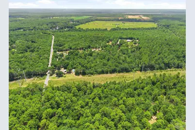 Bryant Bridge Cut Off, Holt, FL 32564 - Photo 8