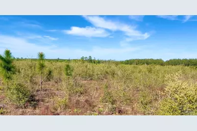 Lot 58 South Timber Ln, Jay, FL 32565 - Photo 1