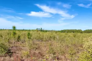 Lot 58 South Timber Ln, Jay, FL 32565 - Photo 1