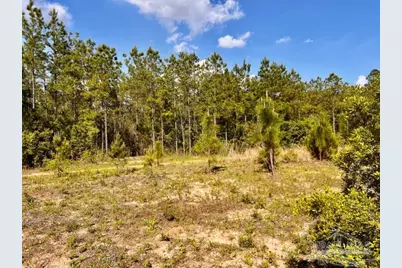 Lot 58 South Timber Ln, Jay, FL 32565 - Photo 8