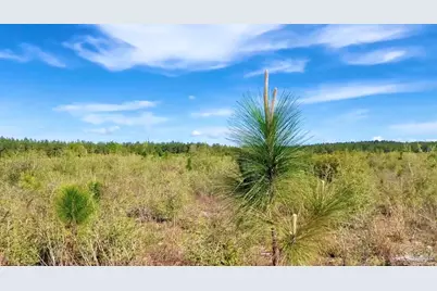 Lot 58 South Timber Ln, Jay, FL 32565 - Photo 2