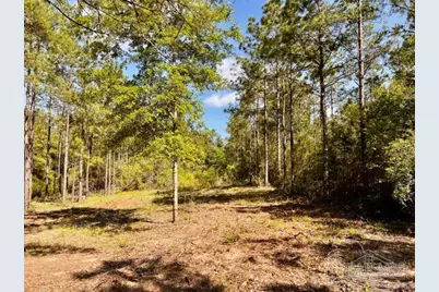 Lot 58 South Timber Ln, Jay, FL 32565 - Photo 10
