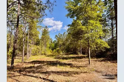Lot 58 South Timber Ln, Jay, FL 32565 - Photo 12