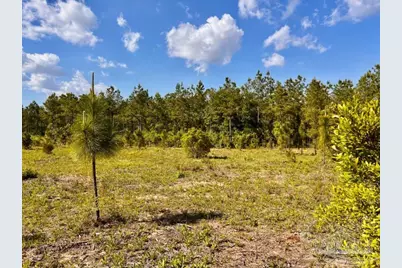 Lot 58 South Timber Ln, Jay, FL 32565 - Photo 6