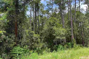 0 Galloway Ln, Gulf Shores, AL 36542 - Photo 1
