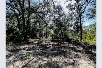4195 Whippoorwill Dr, Holt, FL 32564 - Photo 14