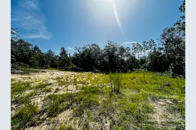 4195 Whippoorwill Dr, Holt, FL 32564 - Photo 8