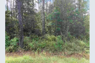 0 N 19th Ave, Milton, FL 32583 - Photo 12
