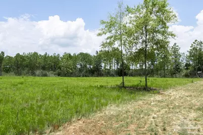 Lot 47 Naturewalk Dr, Pace, FL 32571 - Photo 6