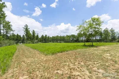 Lot 47 Naturewalk Dr, Pace, FL 32571 - Photo 4