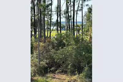 2633 Bayshore Pkwy, Milton, FL 32583 - Photo 38