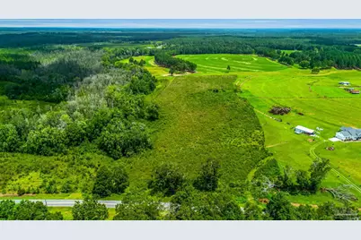 0 Pen Williams Rd, Defuniak Springs, FL 32433 - Photo 2