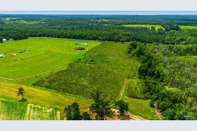 0 Pen Williams Rd, Defuniak Springs, FL 32433 - Photo 6