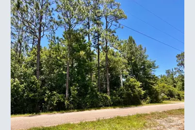Lot 51 Mineral Springs Rd, Jay, FL 32565 - Photo 6
