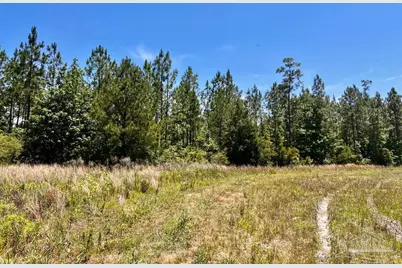 Lot 51 Mineral Springs Rd, Jay, FL 32565 - Photo 10