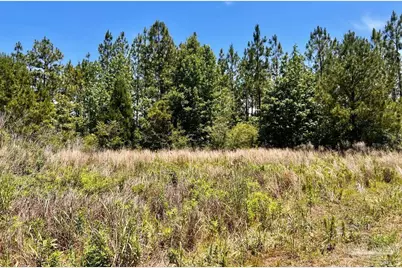 Lot 51 Mineral Springs Rd, Jay, FL 32565 - Photo 8