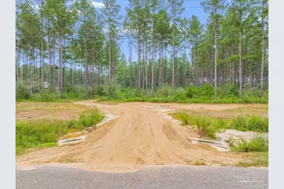 1403 Mineral Springs Rd, Jay, FL 32565 - Photo 6