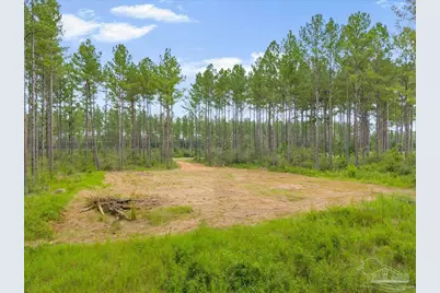1403 Mineral Springs Rd, Jay, FL 32565 - Photo 8