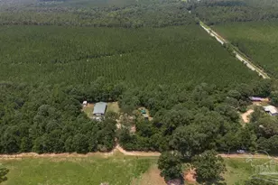 3101 Breastworks Rd, McDavid, FL 32568 - Photo 42