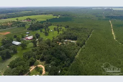 3101 Breastworks Rd, McDavid, FL 32568 - Photo 40