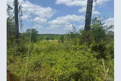 39207-1 State Highway 59, Bay Minette, AL 36507 - Photo 10