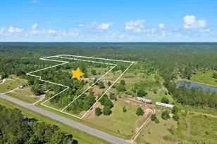 39207-1 State Hwy 59, Bay Minette, AL 36507 - Photo 1