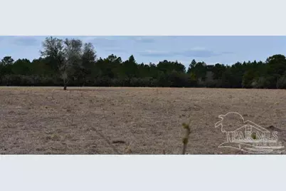0001 Pat Brown Rd, Milton, FL 32570 - Photo 24