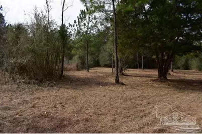 0001 Pat Brown Rd, Milton, FL 32570 - Photo 12