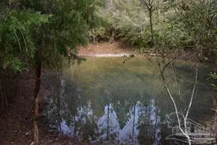 0002 Pat Brown Rd, Milton, FL 32570 - Photo 1