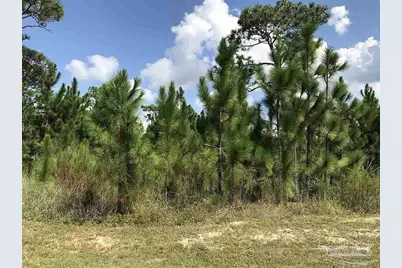 4921 Leeward Dr, Pensacola, FL 32507 - Photo 2