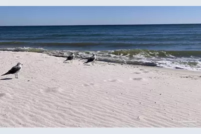 13500 Sandy Key Dr #315W, Pensacola, FL 32507 - Photo 30