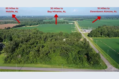 Lot 1 Highway 99A, Walnut Hill, FL 32568 - Photo 16