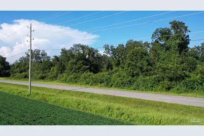 0 Highway 99A, Walnut Hill, FL 32568 - Photo 12