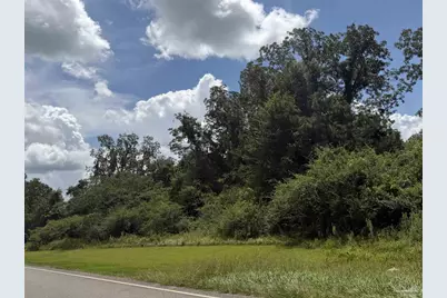 Lot 2 Hwy 99, Walnut Hill, FL 32568 - Photo 6