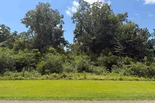 Lot 2 Hwy 99, Walnut Hill, FL 32568 - Photo 1