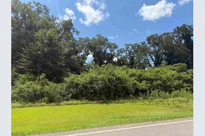 Lot 2 Hwy 99, Walnut Hill, FL 32568 - Photo 8