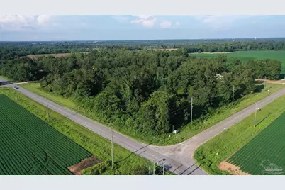 Lot 2 Hwy 99, Walnut Hill, FL 32568 - Photo 10